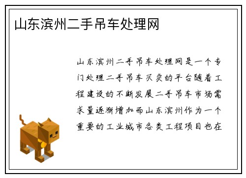 山东滨州二手吊车处理网